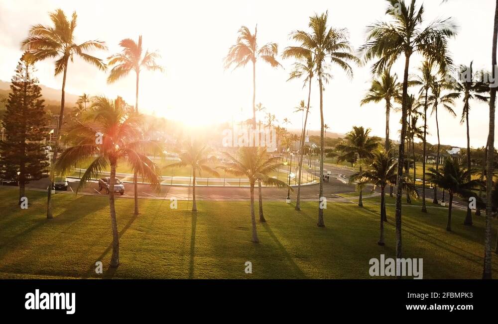 Byu hawaii campus Stock Videos & Footage - HD and 4K Video Clips - Alamy