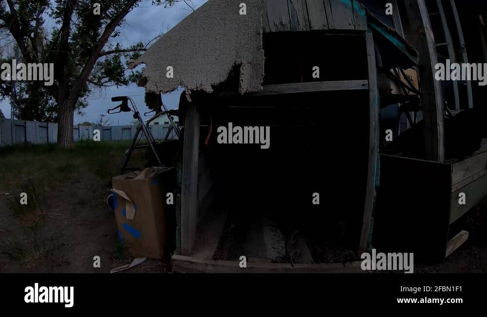 Broken dog Stock Videos & Footage HD and 4K Video Clips Alamy