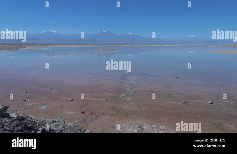 Laguna chaxa chile Stock Videos & Footage HD and 4K Video Clips Alamy