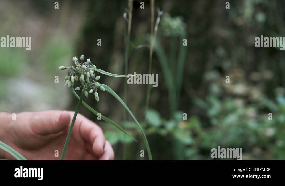 Left hand in pocket Stock Videos & Footage HD and 4K Video Clips Alamy