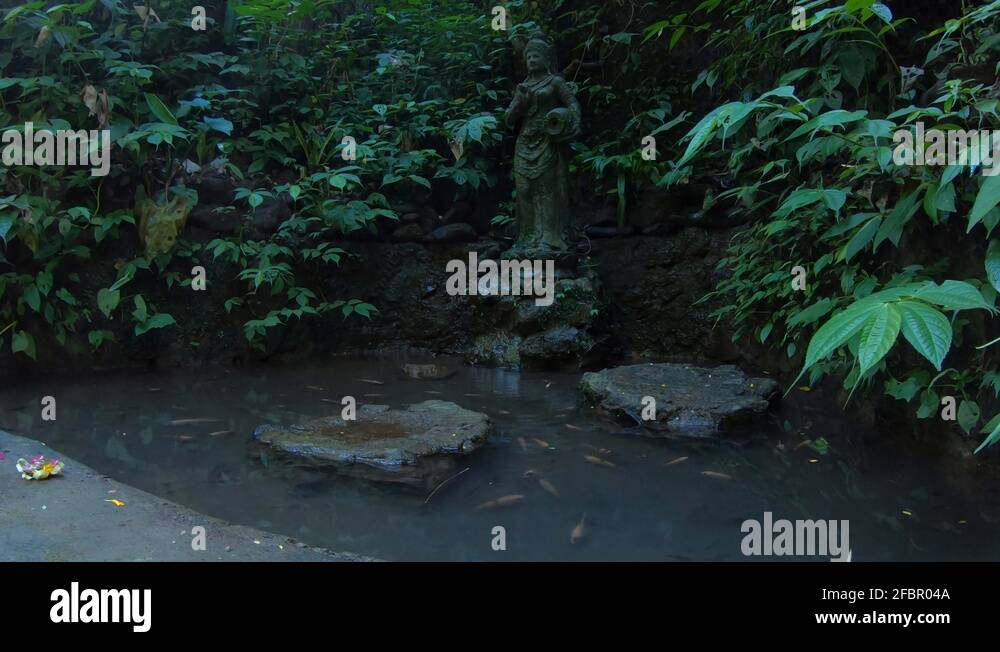 Ancient, Water, Tech ,trick, mini, water, filter, in ,a, jungle Stock