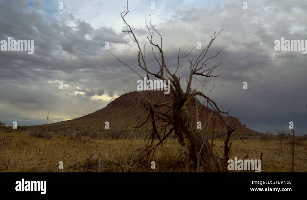 Grassland storm Stock Videos & Footage - HD and 4K Video Clips - Alamy