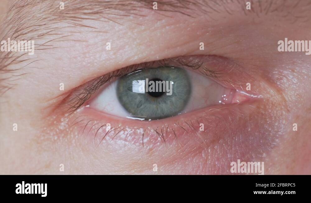 Eye catch light Stock Videos & Footage HD and 4K Video Clips Alamy