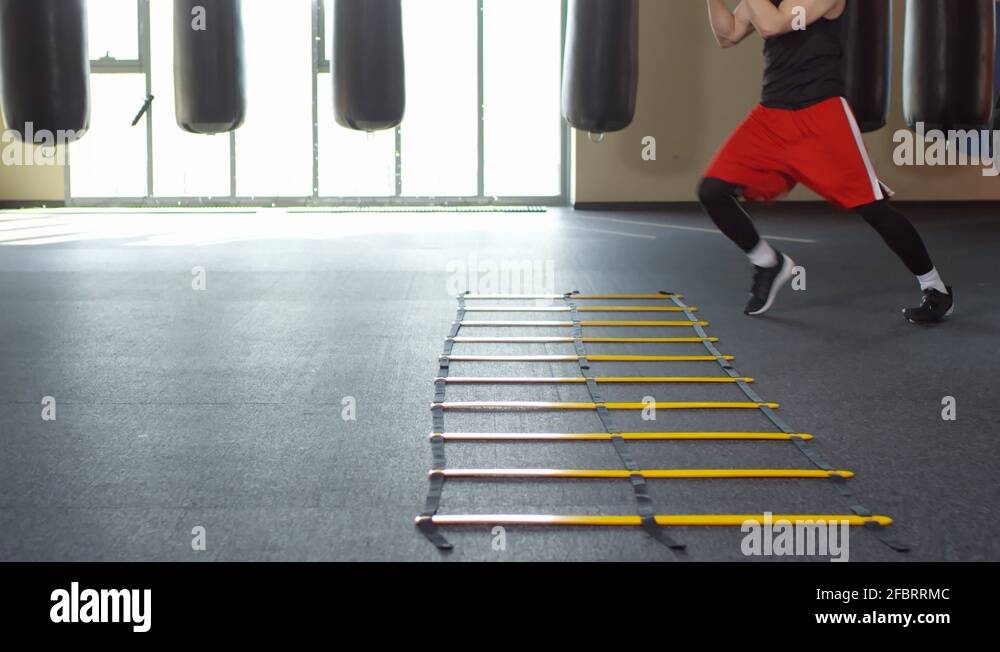 Sequence of Clips of Boxer Exercising with Agility Ladder Stock Video