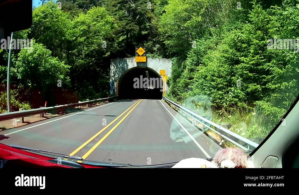 Do you hear what i hear Stock Videos & Footage HD and 4K Video Clips