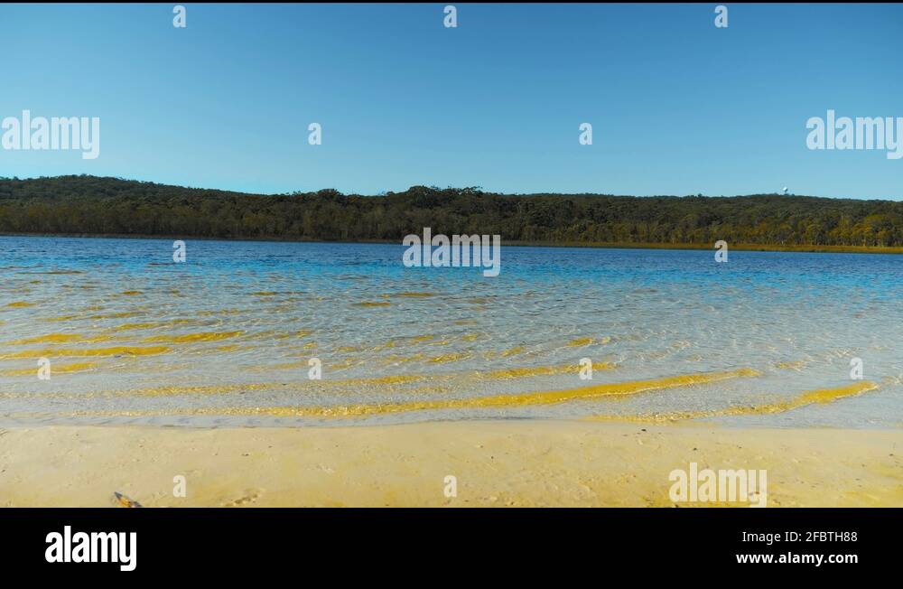 brown lake, eucalyptus lake, north stradbroke island, queensland, Australia Stock Video Footage brown lake, eucalyptus lake, north stradbroke island, queensland, Australia Stock Video Footage