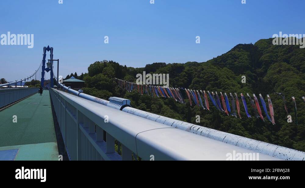 Carp streamers at Ryujin big bridge in Ibaraki daytime sunny wide shot