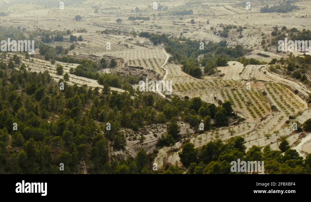 Olive Farm Spain Stock Videos Footage HD And 4K Video Clips Alamy olive-farm-spain-stock-videos-footage-hd-and-4k-video-clips-alamy