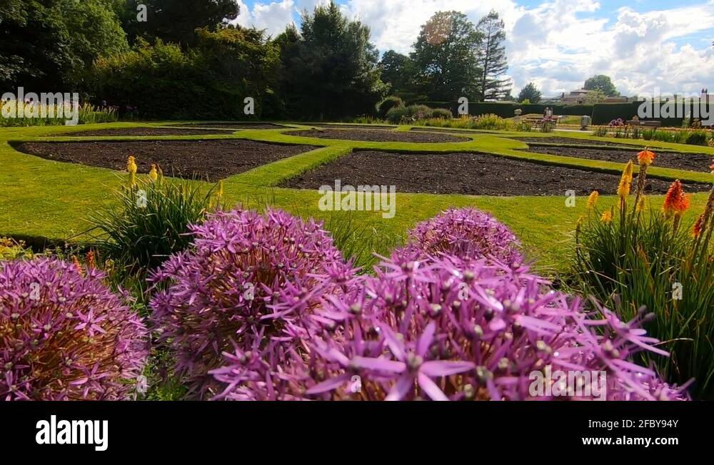 Kent flowers Stock Videos & Footage HD and 4K Video Clips Alamy