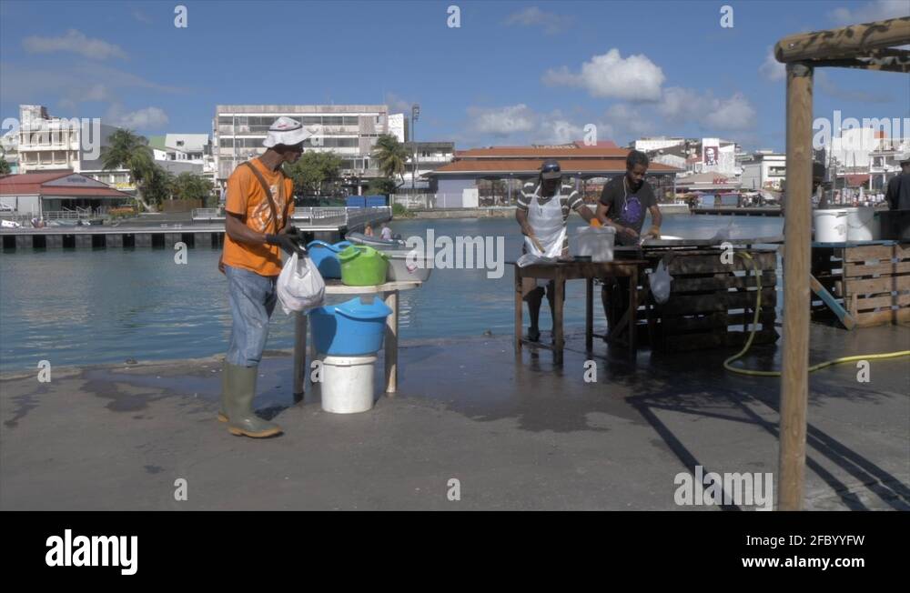 Guadeloupe point a pitre Stock Videos & Footage HD and 4K Video Clips