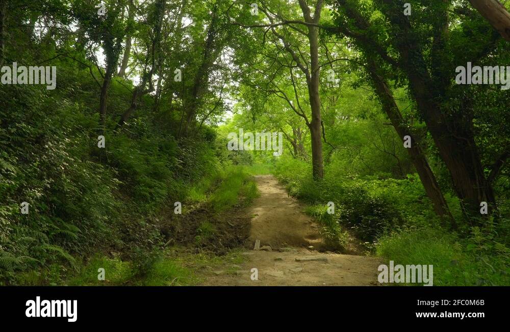 Path point Stock Videos & Footage - HD and 4K Video Clips - Alamy