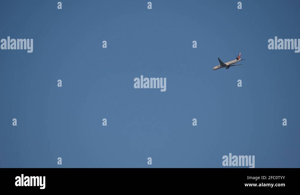 Fly Video Blue flies Stock Videos & Footage - HD and 4K Video Clips - Alamy