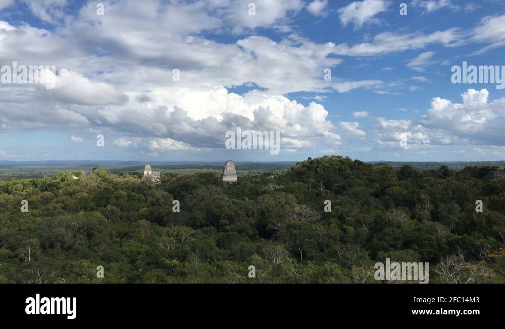 Tikal mayan pyramids Stock Videos & Footage - HD and 4K Video Clips - Alamy