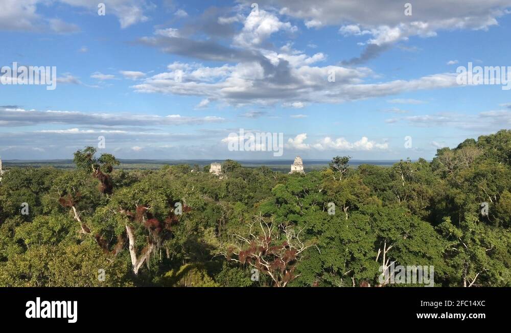 Tikal mayan pyramids Stock Videos & Footage - HD and 4K Video Clips - Alamy