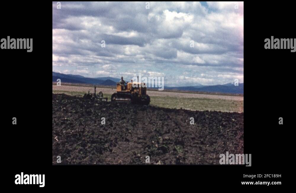 1960s Tractor pulls rototiller over field. Cows in grass field on farm
