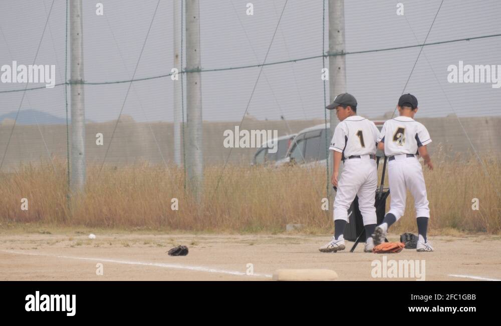 Bat japan Stock Videos & Footage HD and 4K Video Clips Alamy