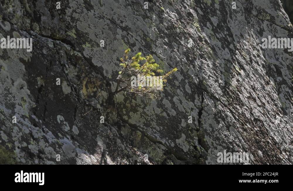 Stone mountain granite Stock Videos & Footage HD and 4K Video Clips