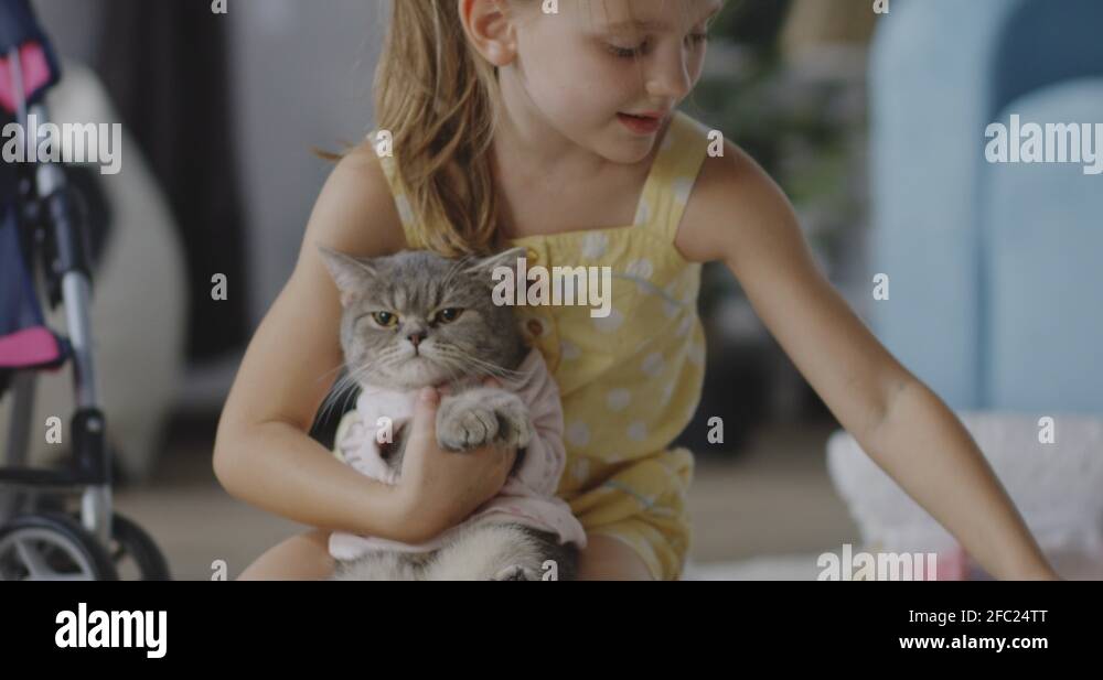 Girl putting clothes on cat Stock Video Footage Alamy