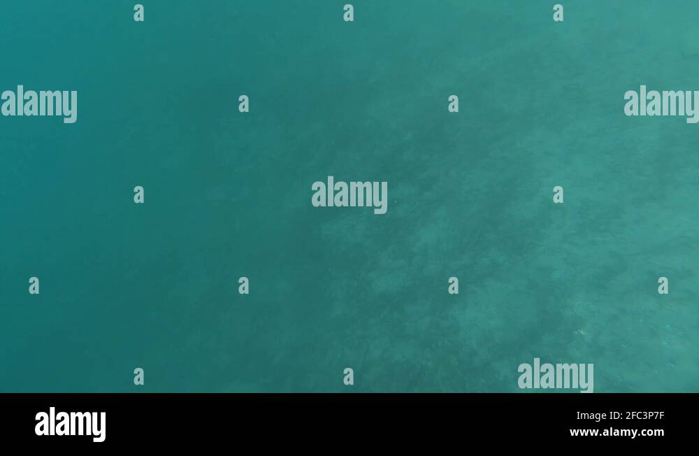 SLOWMO Underwater view of lake Bled bed Stock Video Footage Alamy