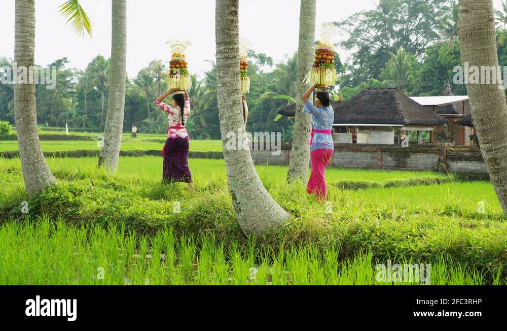 Indonesian baskets of fruit a Hindu spiritual offering Stock Video