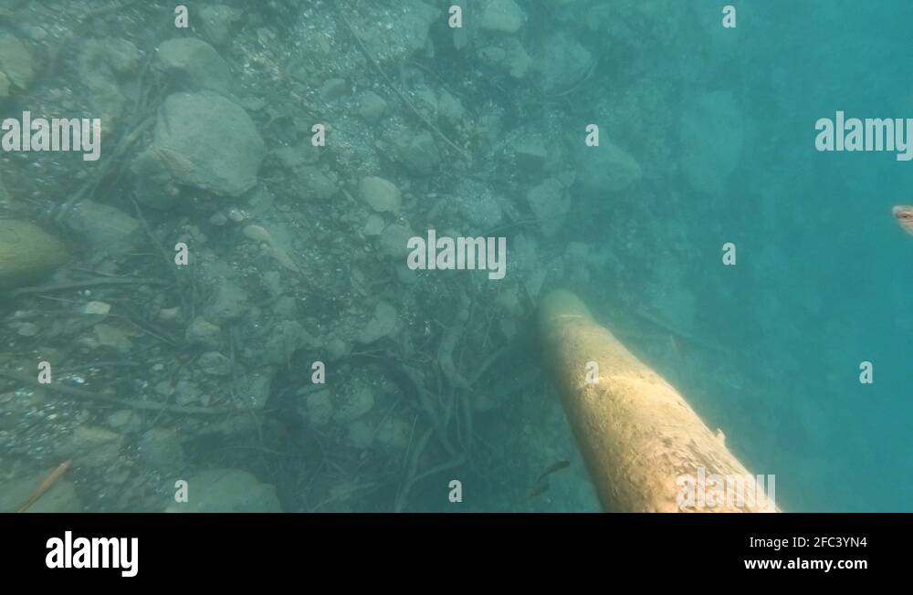 Underwater view of lake Bled bed with a concrete pillar on the floor
