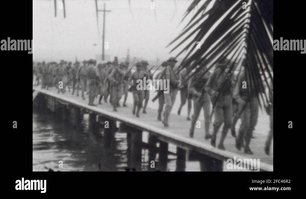 Palm beach 1920s Stock Videos & Footage HD and 4K Video Clips Alamy