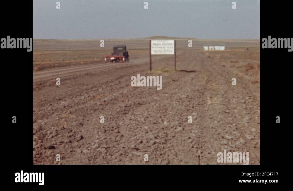 Field bindweed weed Stock Videos & Footage HD and 4K Video Clips Alamy