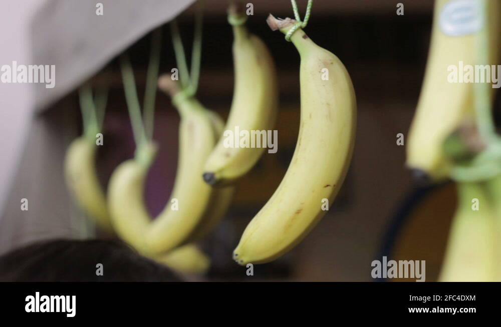 Bananas hanging display Stock Videos & Footage HD and 4K Video Clips