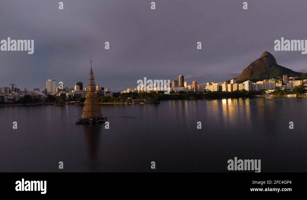 Worlds tallest christmas tree Stock Videos & Footage HD and 4K Video