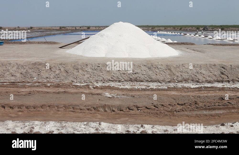 Tamil nadu sea Stock Videos & Footage HD and 4K Video Clips Alamy