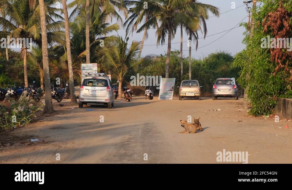 Car parking india Stock Videos & Footage HD and 4K Video Clips Alamy