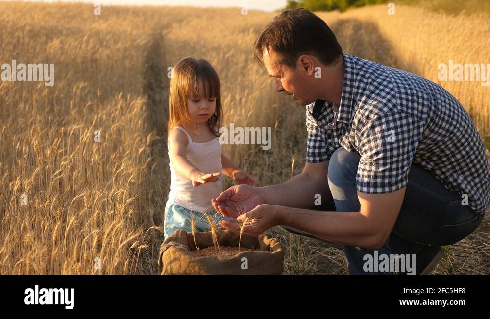 Farmers father save the innocence. Папа фермер. Дочка фермера игра. Отец фермера. Батька на поле.