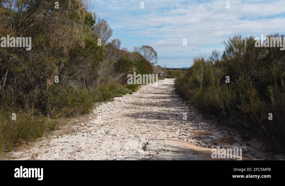Australian bush bushwalking Stock Videos & Footage HD and 4K Video Clips Alamy