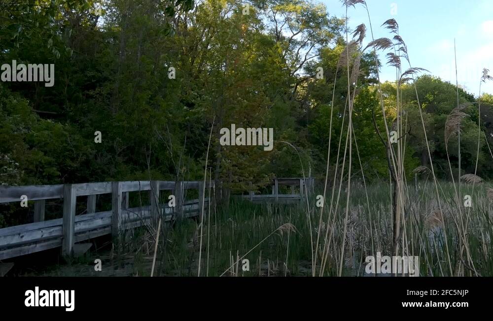 Wooden rivers Stock Videos & Footage HD and 4K Video Clips Alamy