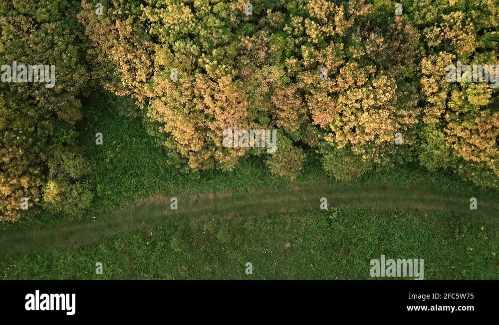 Brighton trees grass Stock Videos & Footage HD and 4K Video Clips Alamy