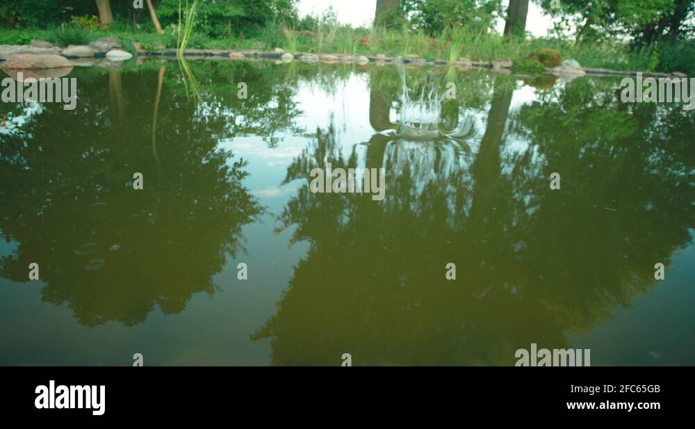 Ripple circle Stock Videos & Footage - HD and 4K Video Clips - Alamy