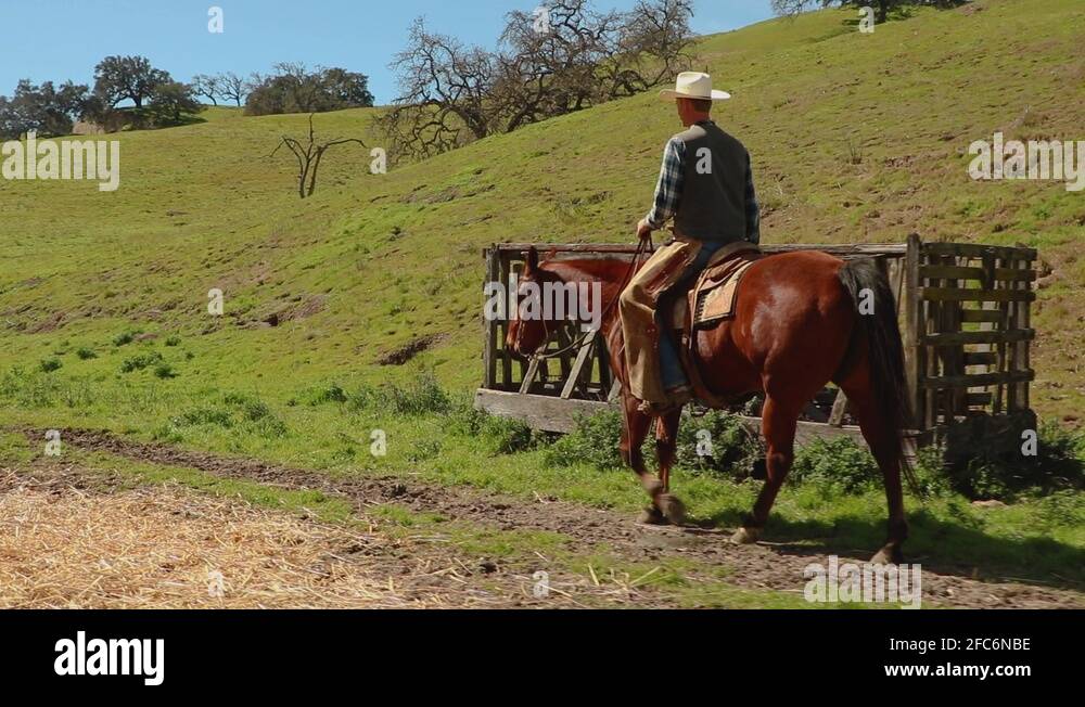 White horse way Stock Videos & Footage HD and 4K Video Clips Alamy