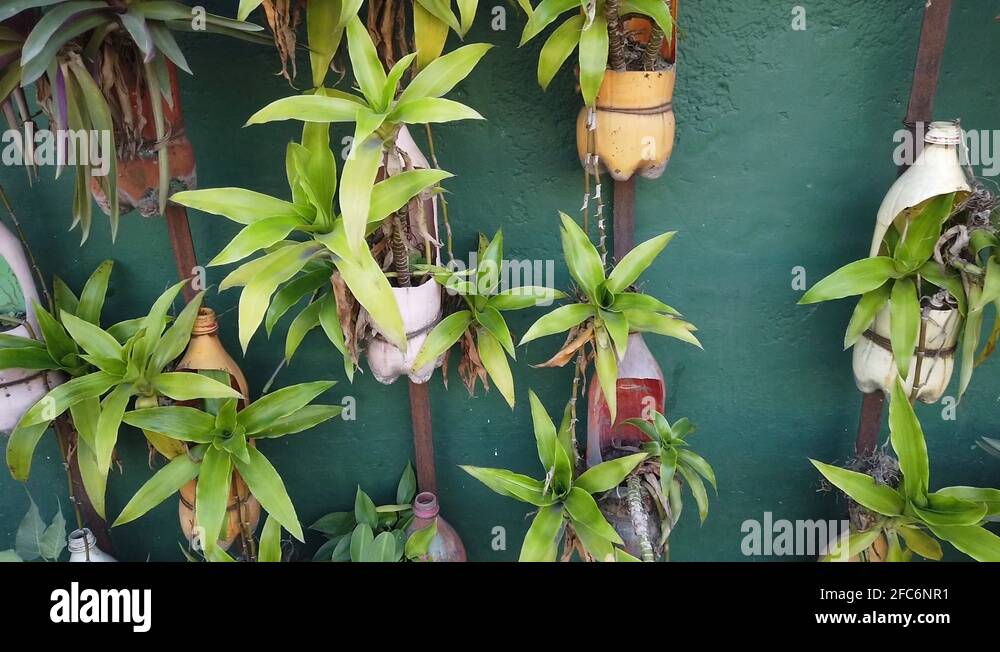 Recycled plant containers Stock Videos & Footage HD and 4K Video
