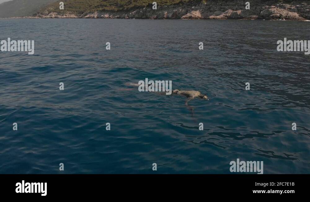 Fishing in wetsuit Stock Videos & Footage HD and 4K Video Clips Alamy