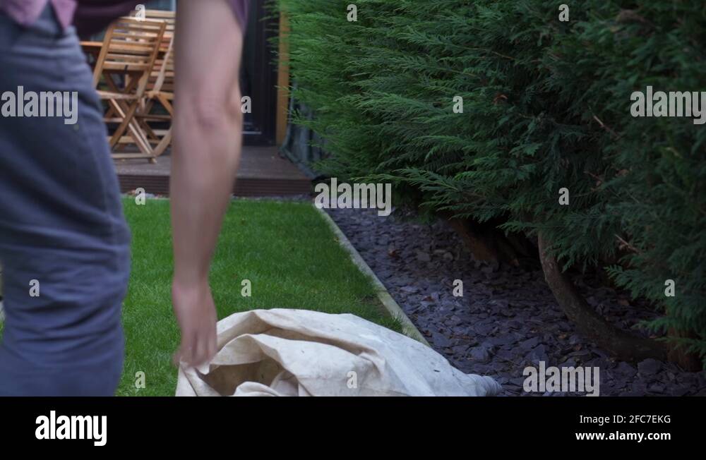 Hedge trimmer cut out Stock Videos & Footage HD and 4K Video Clips