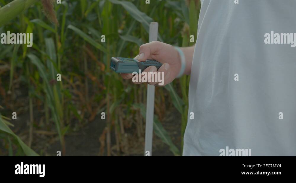 Corn measure Stock Videos & Footage HD and 4K Video Clips Alamy