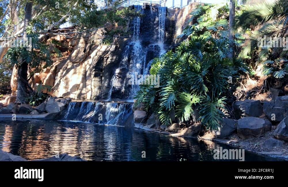 Toowoomba queensland Stock Videos & Footage HD and 4K Video Clips Alamy
