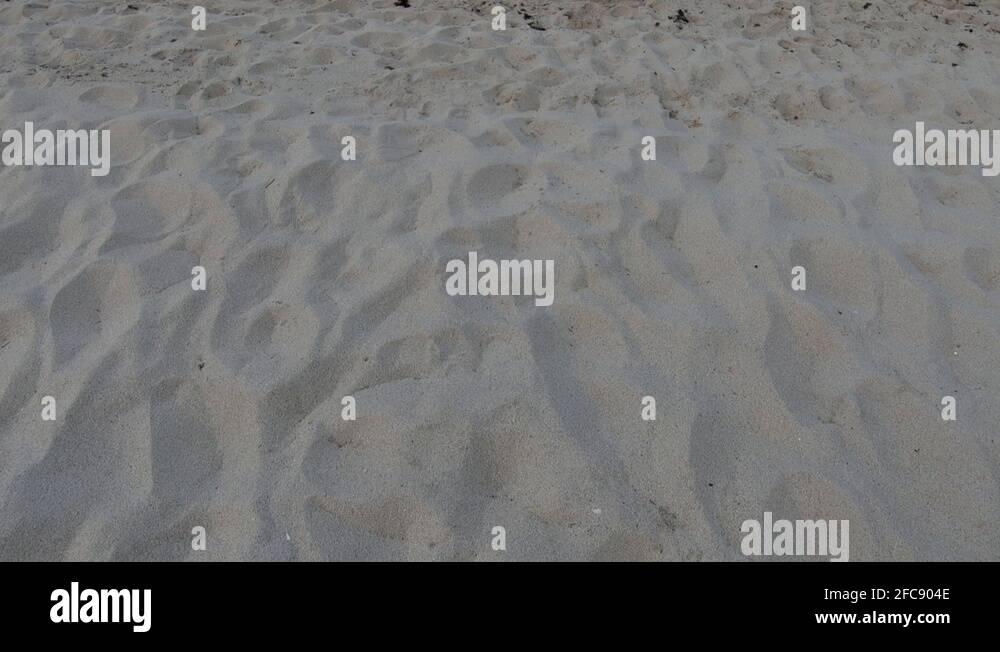 Footprints in sand panorama Stock Videos & Footage HD and 4K Video