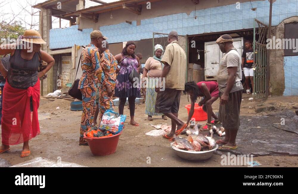 Marché au poissons de Douala / Douala Fish Market Stock Video Footage ...