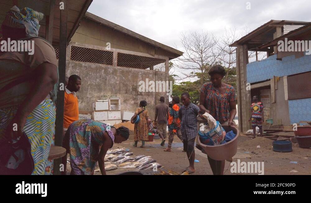 Marché au poissons de Douala / Douala Fish Market Stock Video Footage ...