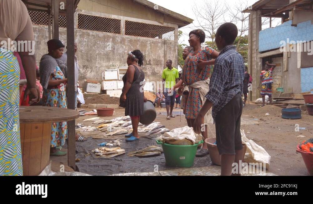 Marché au poissons de Douala / Douala Fish Market Stock Video Footage ...
