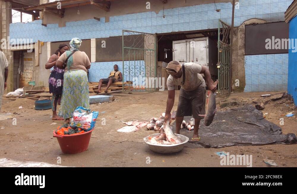Marché au poissons de Douala / Douala Fish Market Stock Video Footage ...