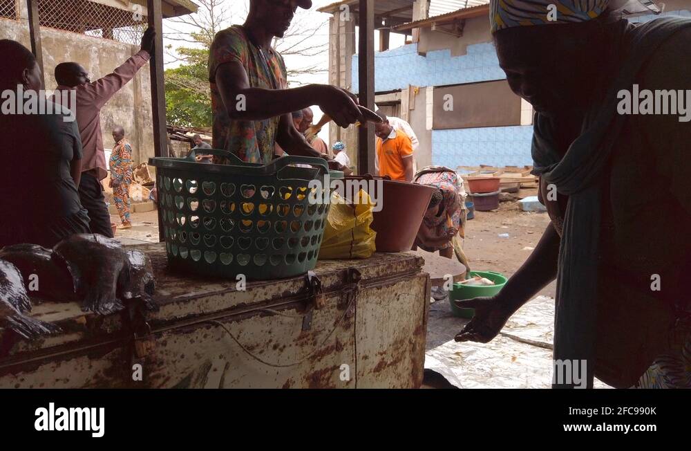 Marché au poissons de Douala / Douala Fish Market Stock Video Footage ...