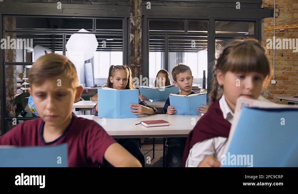 Secondary school reading Stock Videos & Footage HD and 4K Video Clips