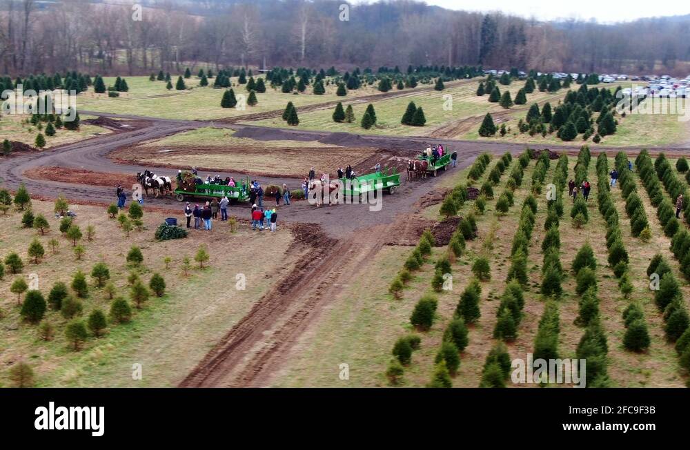 Tree wagons Stock Videos & Footage HD and 4K Video Clips Alamy